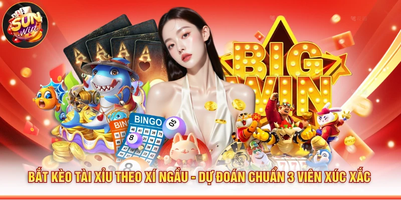 Bắt Kèo Tài Xỉu Theo Xí Ngầu - Dự Đoán Chuẩn 3 Viên Xúc Xắc