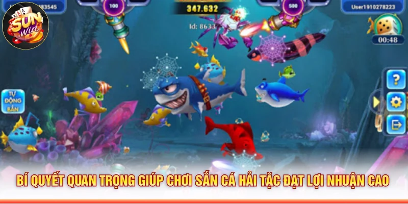 Bí quyết quan trọng giúp chơi Sắn cá hải tặc đạt lợi nhuận cao