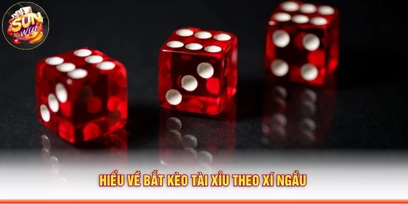 Hiểu về bắt kèo tài xỉu theo xí ngầu