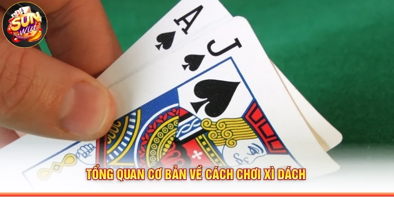 Tổng quan cơ bản về cách chơi xì dách